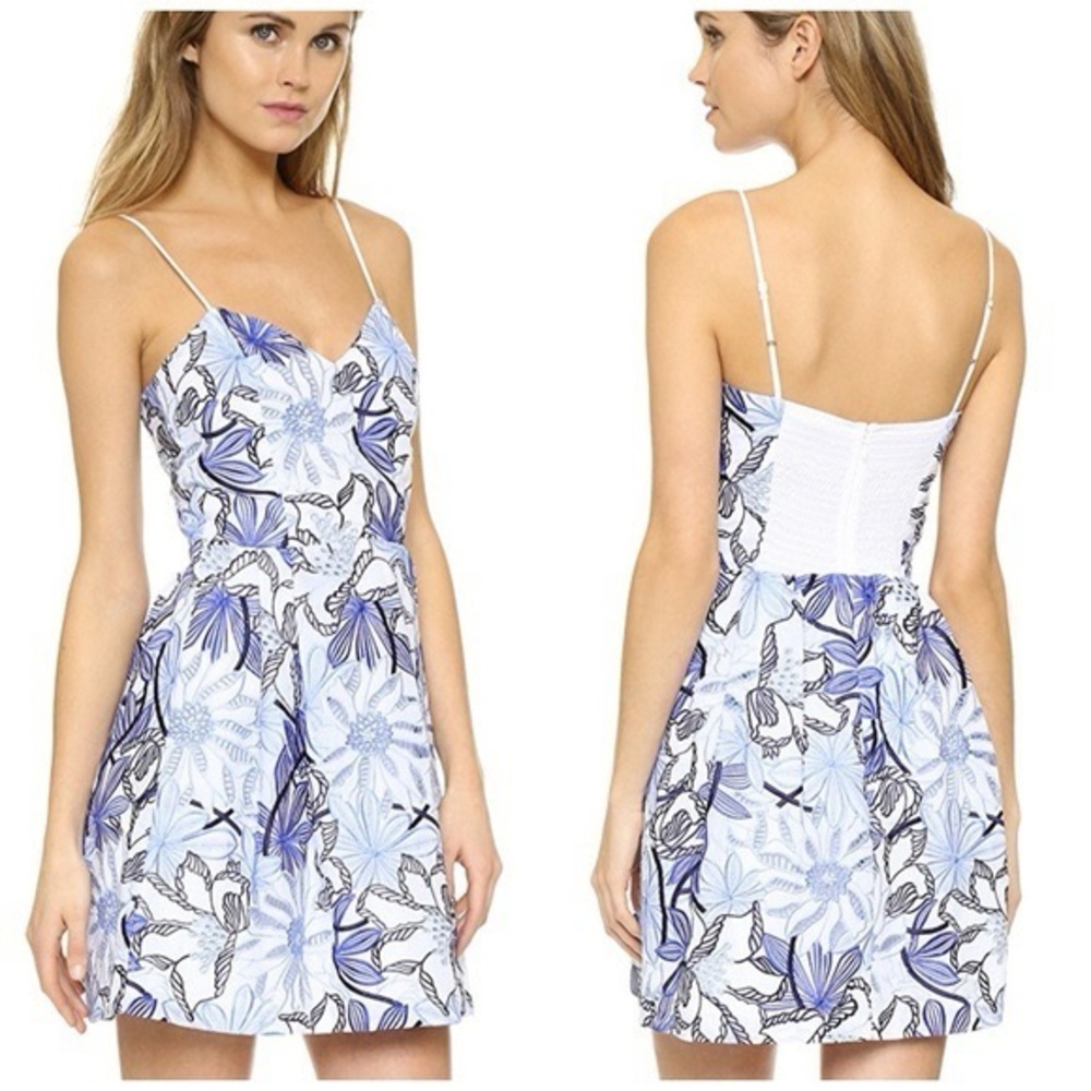 Parker White and Blue Dress